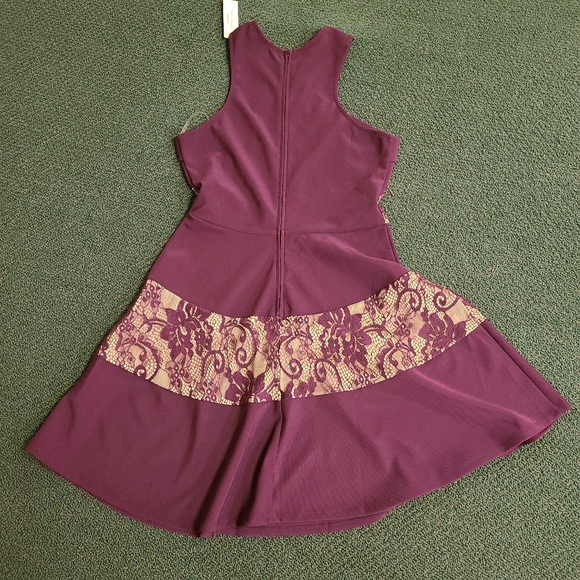 ๐๏ธFrancescas Plum Lace Dress - Picture 2 of 11